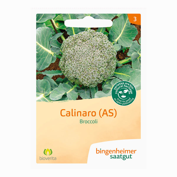 Broccoli Calinaro