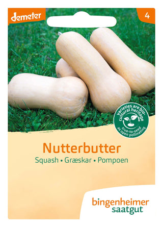 Flespompoen 'Nutterbutter' - bingenheimer saatgut 