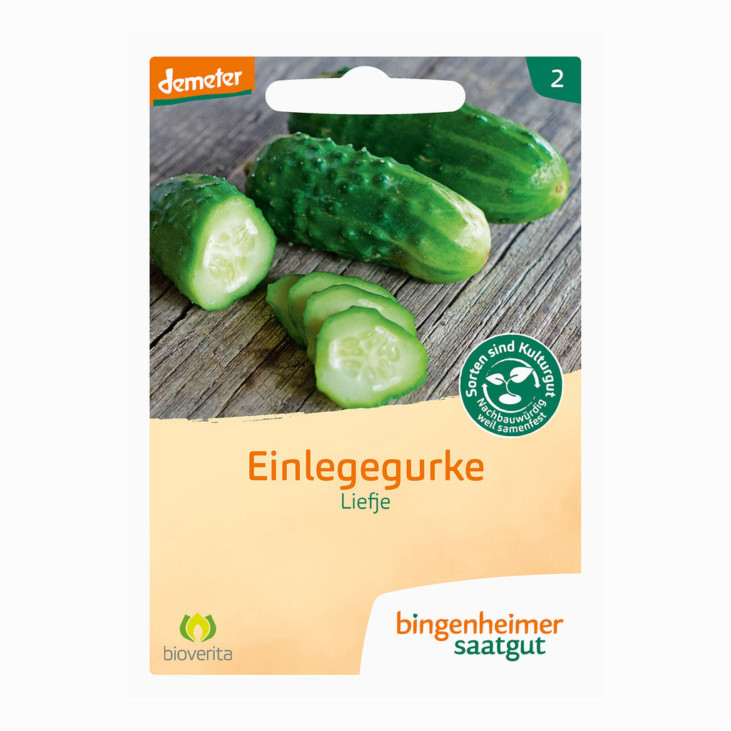Augurkenpot - Transparant Lekvrij, 2 Stuks Lekvrij Met