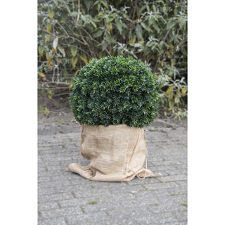 Esschert Design Jute Koord 100 m - Nederland Esschert Design Jute Koord 100 m - Nederland