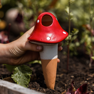 Bewateringstuit Paddenstoel