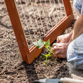 Plantenklimrek Opklapbaar