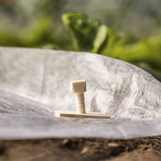 Eco Grondpennen Hout 15cm (10)