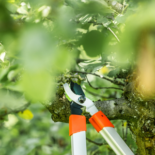 Lichtgewicht Takkenschaar (Voorbijsnijdend)