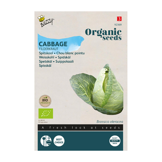 Spitskool 'Filderkraut'