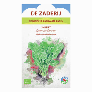 Snijbiet 'Gewone groene'