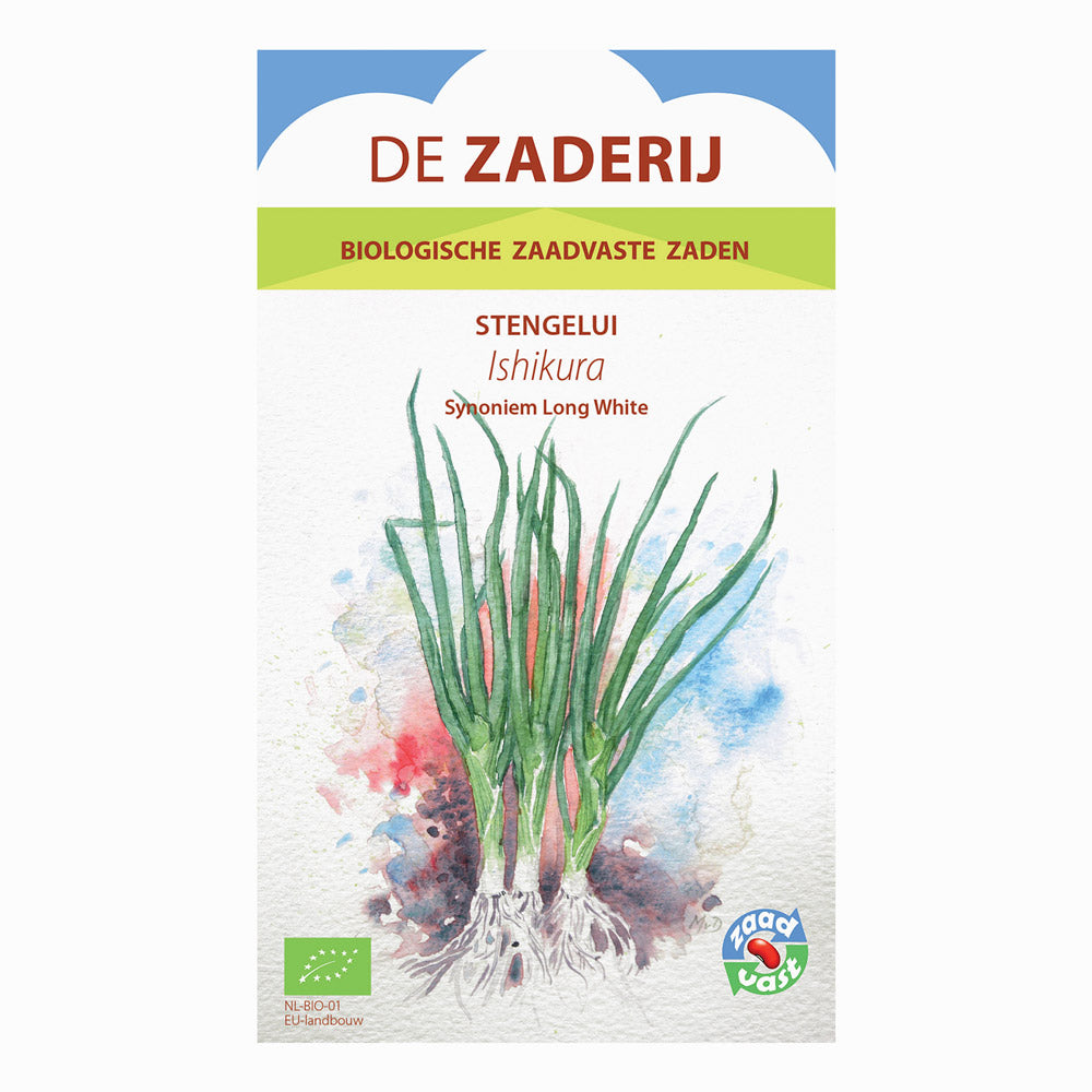 Stengelui 'Ishikura Long White' | BIO | De Zaderij | De Moestuinwinkel