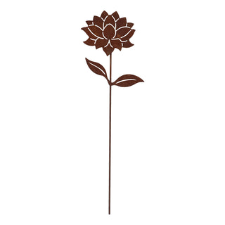 Dahlia Tuinsteker Roest