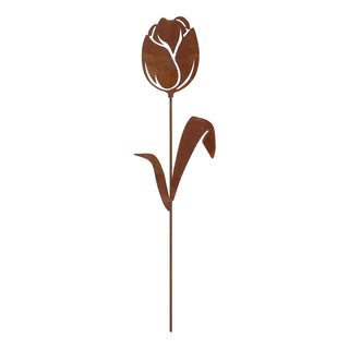 Tulp Tuinsteker Roest