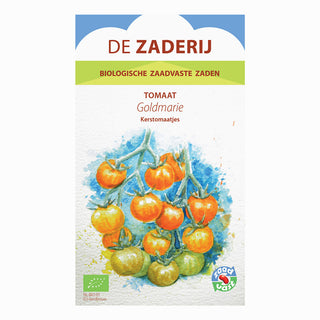 Kerstomaat 'Goldmarie' De Zaderij