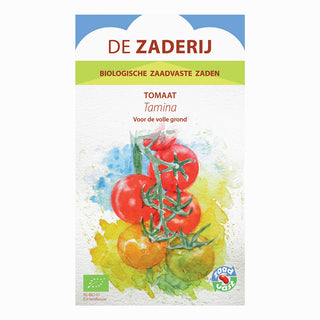 Tomaat 'Tamina' De Zaderij