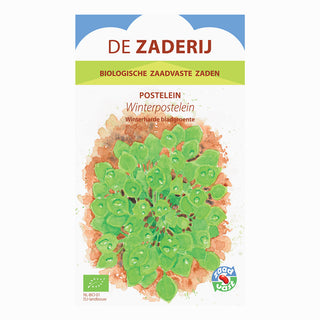 Winterpostelein, De Zaderij 