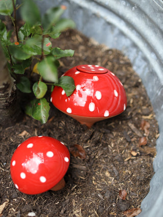 Olla Paddenstoel 'Zwam'