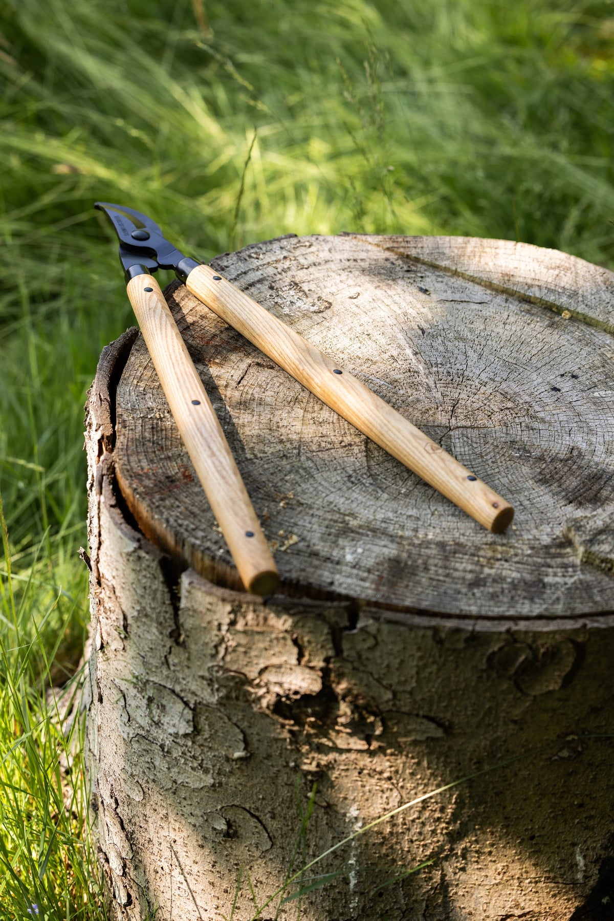 Gereedschap - tuinwerk met snoeigereedschap