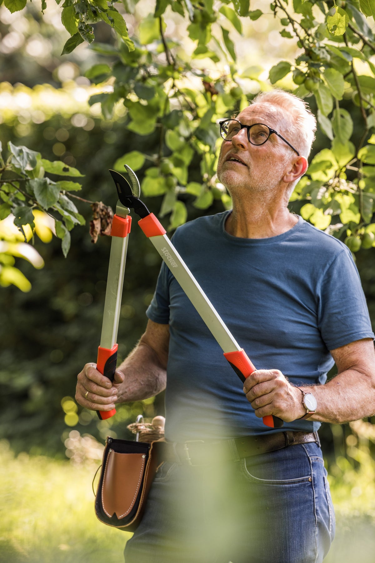 Snoeien met een takkenschaar in de tuin