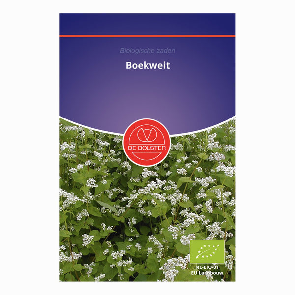 Boekweit BIO | Groenbemester | De Bolster