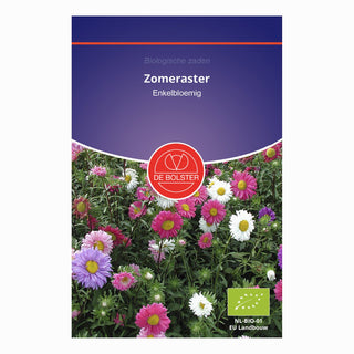 De Bolster Zomeraster Enkelbloemig 5140