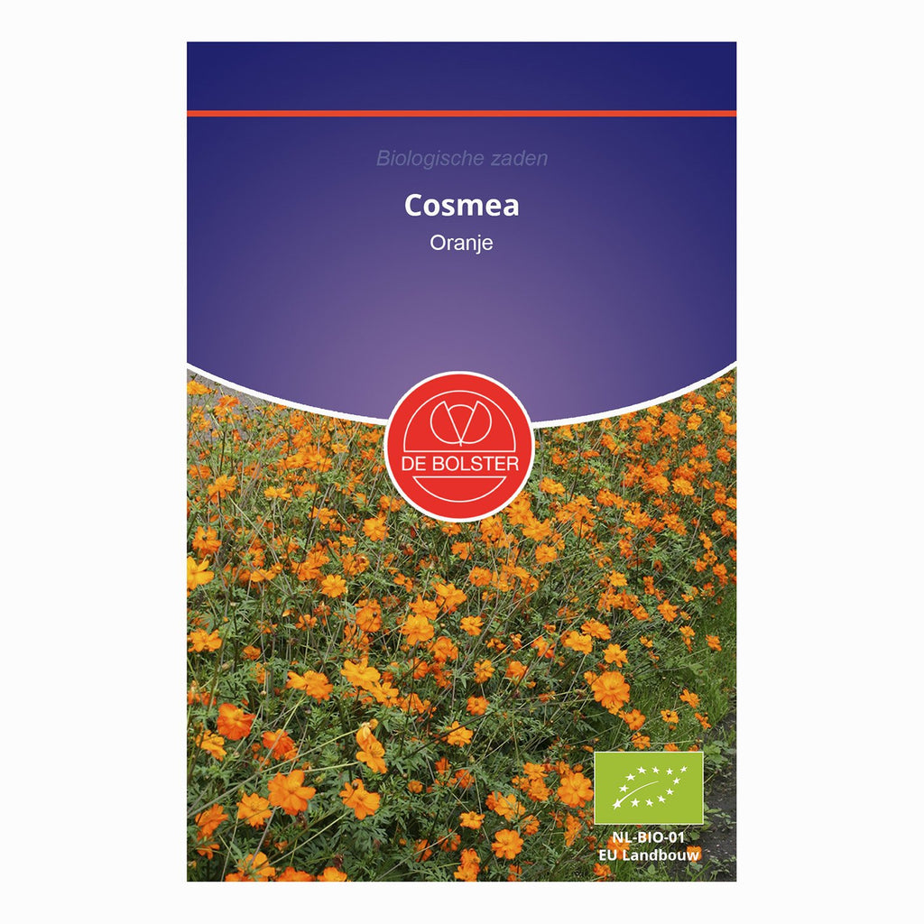 De Bolster Cosmea - Oranje 5300