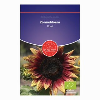 De Bolster Zonnebloem Middelgroot - Rood 5470