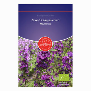 De Bolster Groot Kaasjeskruid 'Mauritanica' 5640