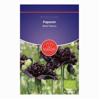 De Bolster Papaver 'Black Paeony' 5775