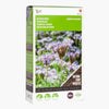 Buzzy Organic Phacelia tanacetifolia 100g