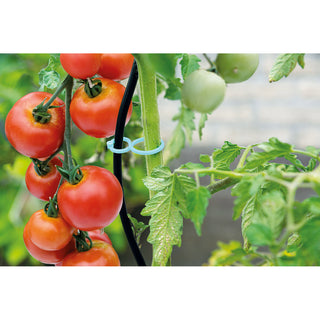 tomaten stokken Tomaten Clips (20) | Sogo