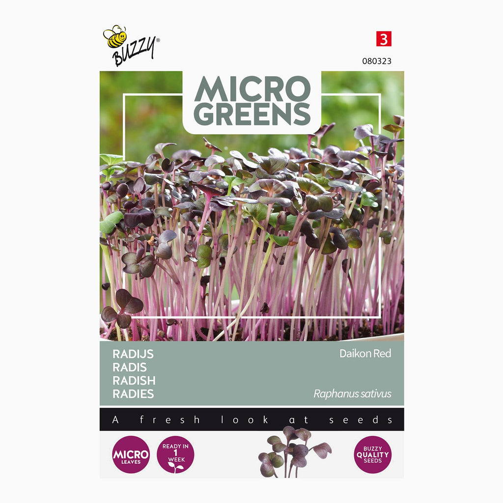 Microgreens Radijs (rood) Kiemgroente - Buzzy | De Moestuinwinkel