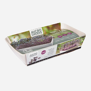 Buzzy Organic Microgreens Dish Daikon Radijs