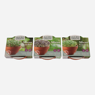 Buzzy Organic Microgreens Terra Schaaltje Boerenkool