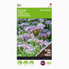 Buzzy Organic Phacelia tanacetifolia 100g 881525