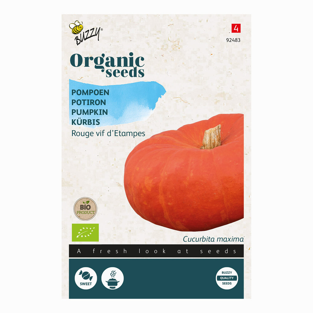 Pompoen Rode van Etampes | Buzzy Organic (BIO) | Reuzenpompoen ...