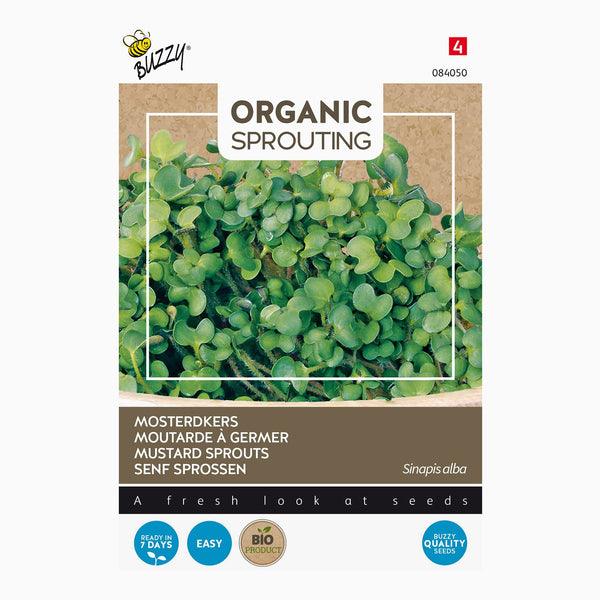 Buzzy Organic Sprouting Mosterdkers 084050