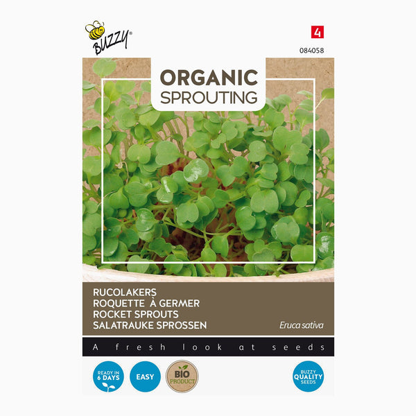 Buzzy Organic Sprouting Rucolakers 084058