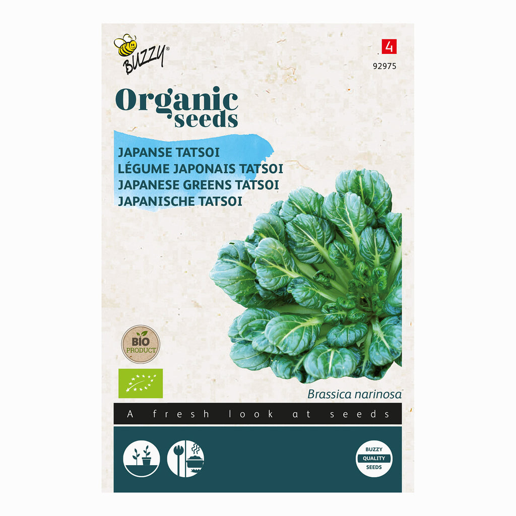 Buzzy Organic Tatsoi 92975