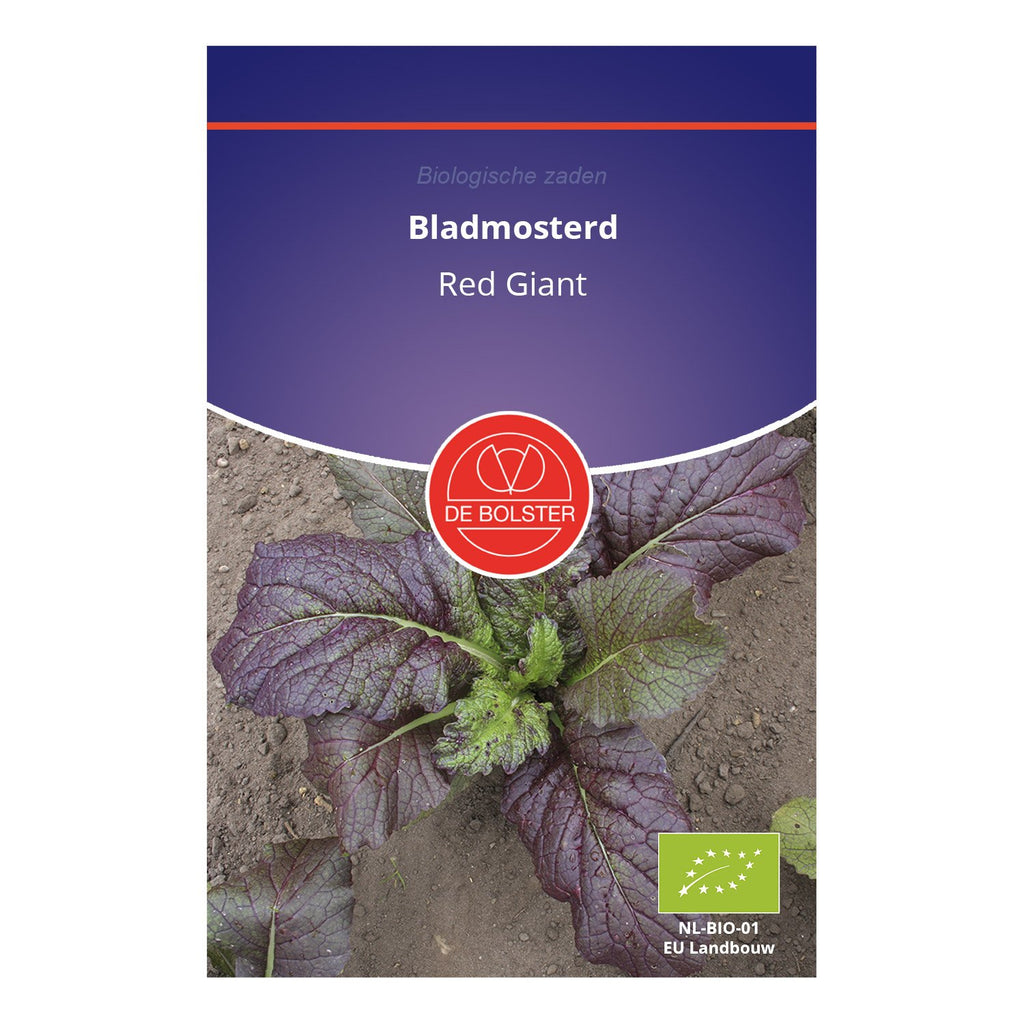 Bladmosterd 'Red Giant' - De Bolster (BIO) – De Moestuinwinkel