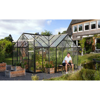 Sirius 'Orangerie'