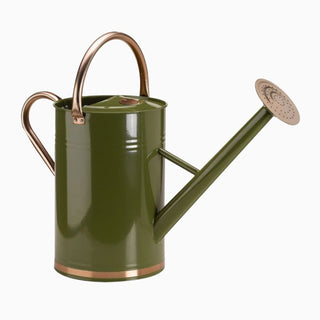 1500ml Outdoor Garden Gieter, RVS Lange Uitloop Gieter, Gieter voor Indoor Outdoor Planten (Goud 1500ml Outdoor Garden Gieter, RVS Lange Uitloop Gieter, Gieter voor Indoor Outdoor Planten (Goud