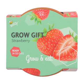 Groeicadeautje Aardbei