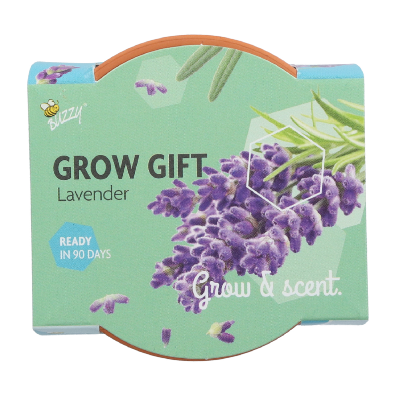 Groeicadeautje Lavendel