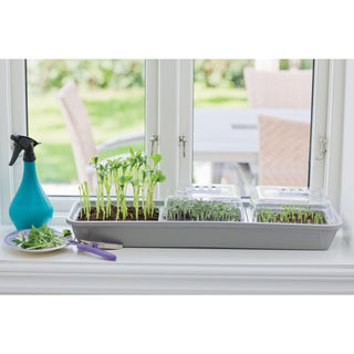 Nelson Garden Micro-Leaf Kweekkas (3-delig)