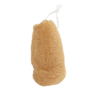 Luffa Spons