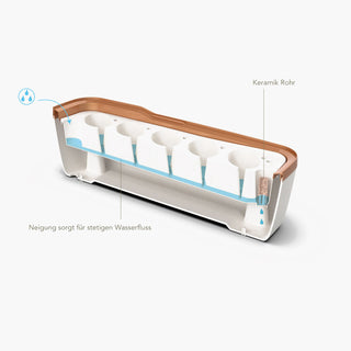BOQUBE L PLUS Creme